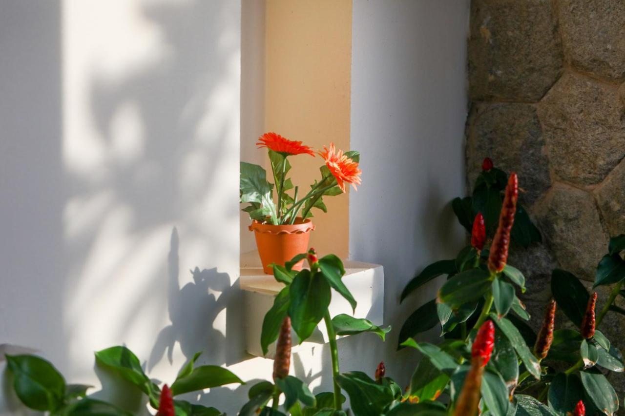 Prima Villas Karon Phuket Ban Karon 外观 照片
